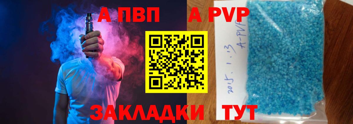 A PVP СК КРИС Брянск
