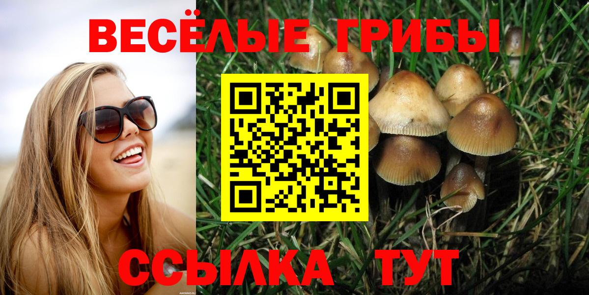 купить закладку  Вход с VPN  Брянск  Галлюциногенные грибы Psilocybe 